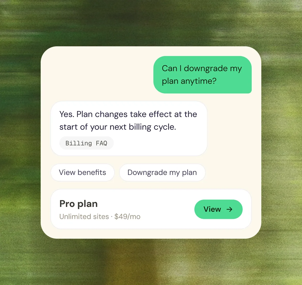 SaaS example conversation